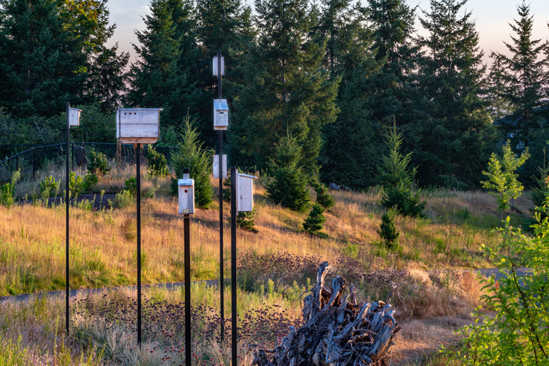 Discovery Park | GCH - Seattle Landscape Architecture